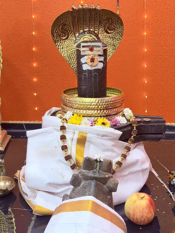 Lord Shiva Brahmasutra Shiva Lingam